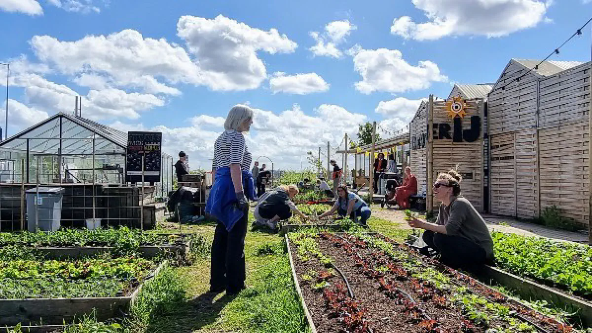 De MoestuinderIJ