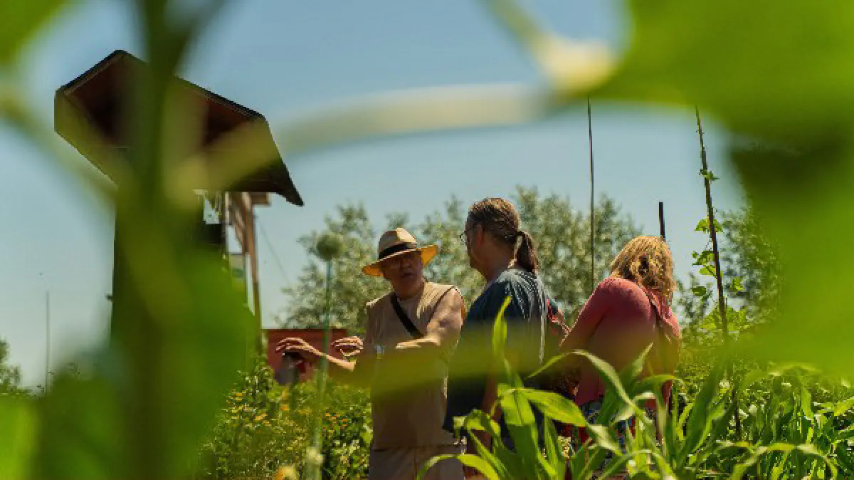 De Groene BraderIJ
