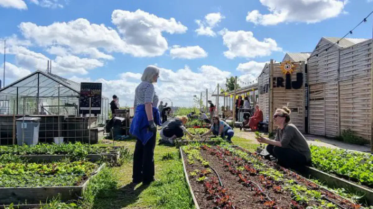 De MoestuinderIJ